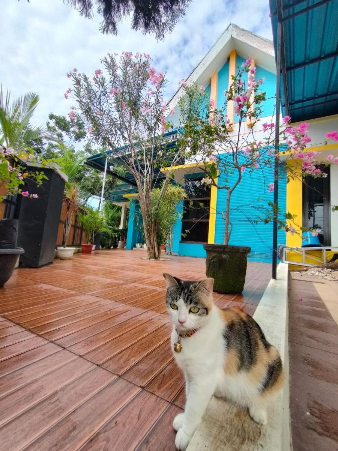 Omah Mendut Homestay Banyuwangi  Bagian luar foto